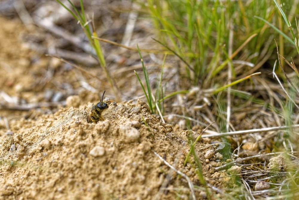 Y a personne, je peux sortir ?